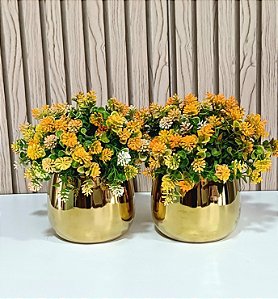 Dupla Dourada Aninha