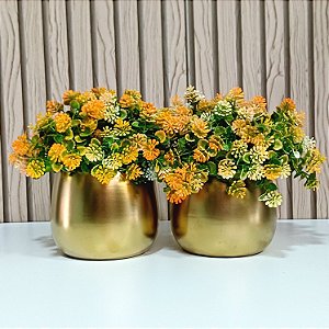 Dupla Dourada Fosca Aninha