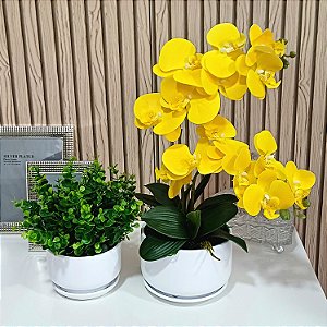 Dupla de Arranjo Verdinho e Orquidea Phalaenopsis Amarela Camile