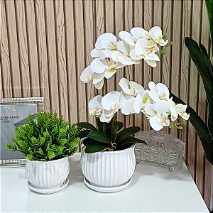 Dupla de Arranjo Verdinho e Orquidea Phalaenopsis Branca Camile