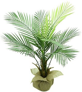 PLanta Palmeira Areca 90cm