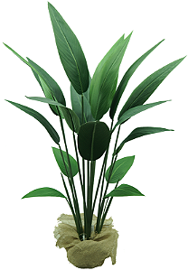 Planta Estrelicia 120cm