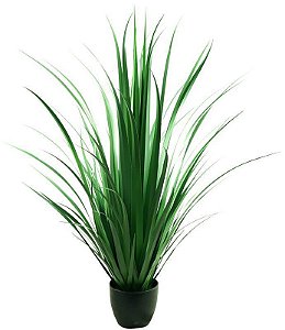 Capim Verde 90cm