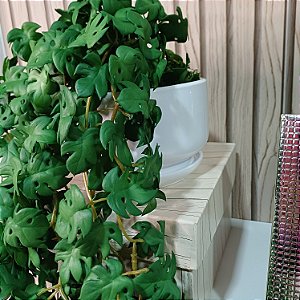 Pendente Mini Costela de Adão