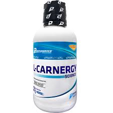 L Carnitina Performance 480ml