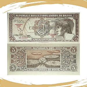 Cédula do Brasil - 5 Cruzeiros 1962 C-112 - 3ª Estampa - Indio - Série 106 - FE