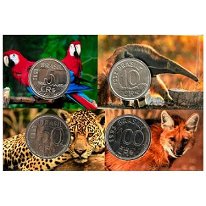 Cartela com a Série de Cruzeiros Reais 1993 - Circuladas