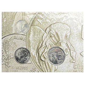 Cartela com as Moedas da Série FAO 1975 - Circuladas