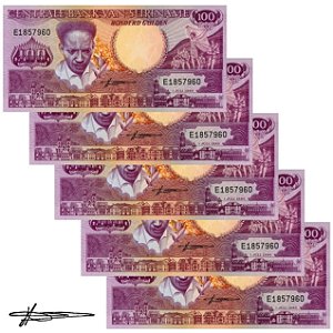 Suriname - 5 Cédulas de 100 Gulden 1986 - P-133a - Sequência - Flor de Estampa