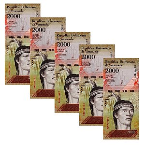 Venezuela - 5 Cédulas de 2000 Bolivares Forte 2016 - P-96b - Guaicaipuro - Sequência - FE