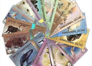 Territórios Articos - Série completa com 14 Cédulas de Polìmero de 1 a 500 Pollar Dollar - FE