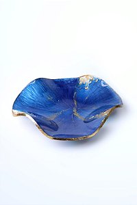 Bowl orgânico grande