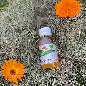 EXTRATO GLICERINADO DE GENGIBRE - 60g