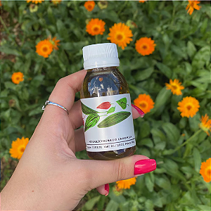 EXTRATO GLICERINADO CAMOMILA - 60g