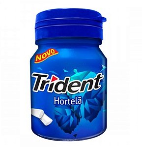 CHIC TRIDENT GARRAF HORTELA 6X54GR (6) DP/6