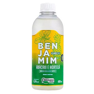 BENJAMIM KOMBUCHA ORGANICA ABACAXI E HORTELA 400ML