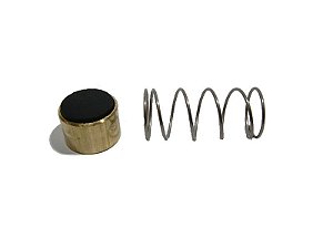 REPARO VALVULA RETENCAO 3/4 X 3/8   MSI10VL/MSV15AP