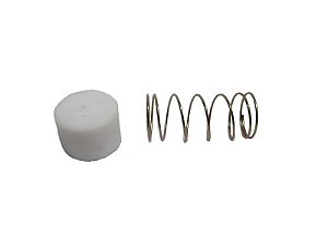 REPARO VALVULA RETENCAO 3/4 CSL20BR/MSV20MAX/WT