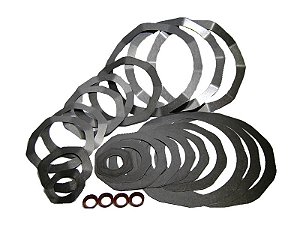 REPARO PLACA VALVULA AP / BP COMPLETO W900