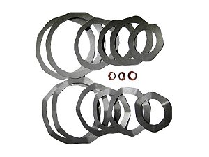 REPARO PLACA VALVULA AP / BP COMPLETO W800