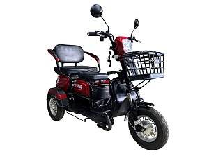 Triciclo Eletrico 600w S300 2025