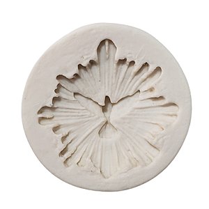 Molde De Silicone - 1411 - Resplendor - 1 unidade - Mazulli - Rizzo