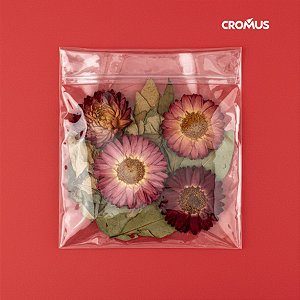Saco Adesivado Metalizado sem Furo - 10x10cm - 100 unidades - Cromus - Rizzo