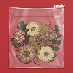 Saco Adesivado sem Furo - 25x35cm - 100 unidades - Cromus - Rizzo