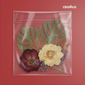 Saco adesivado sem Furo - 15x20cm - 500 unidades - Cromus - Rizzo