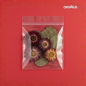 Saco adesivado com Furo - 8x8cm - 100 unidades - Cromus - Rizzo