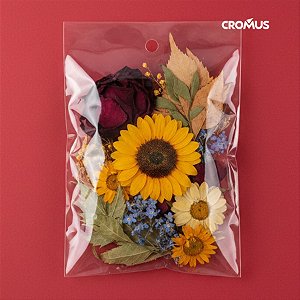 Saco adesivado com furo - 18x25cm - 100 unidades - Cromus - Rizzo