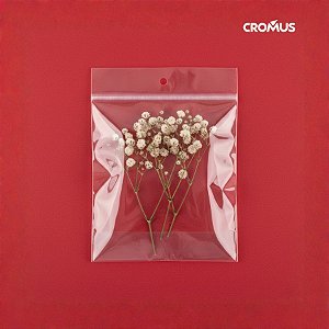 Saco Adesivado com Furo - 6x7cm - 100 unidades - Cromus Embalagens