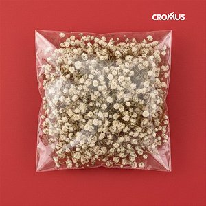 Saco Adesivado sem Furo - 14x14cm - 100 unidades - Cromus Embalagens