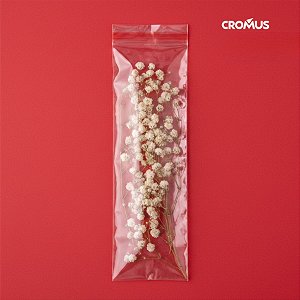Saco Adesivado sem Furo - 6x25cm - 100 unidades - Cromus Embalagens