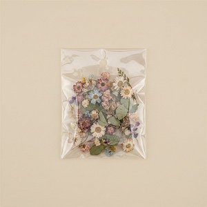Saco Adesivado com furo - 6 x 7cm x 2 - Rizzo