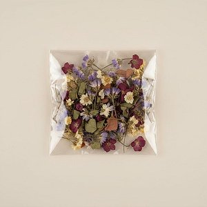 Saco Adesivado com furo - 8 x 8cm x 2 - Rizzo