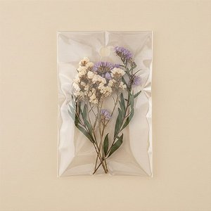 Saco Adesivado com furo - 7 x 12 cm - Rizzo