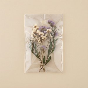 Saco Adesivado com furo - 6 x 12 cm - Rizzo