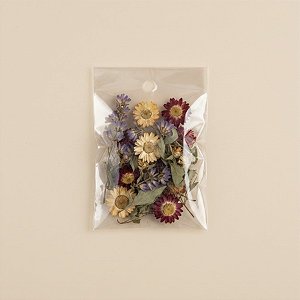 Saco Adesivado com furo - 5 x 7 cm - Rizzo
