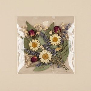 Saco Adesivado com furo - 9 x 9 cm - Rizzo