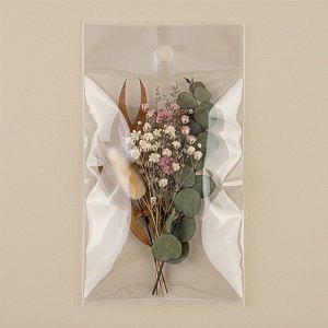 Saco Adesivado com furo - 9 x 17cm - Rizzo