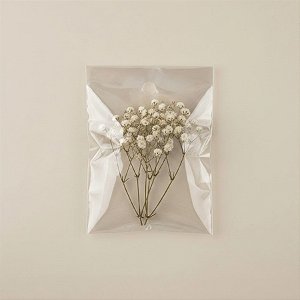 Saco Adesivado com furo - 4 x 6 cm - Rizzo
