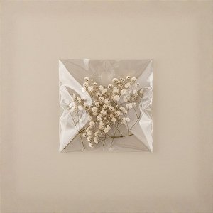Saco Adesivado com furo - 4 x 4 cm - Rizzo