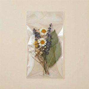 Saco Adesivado com furo - 9 x 12 cm - Rizzo