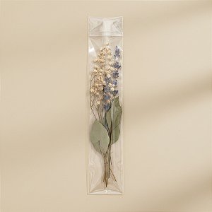 Saco Adesivado sem furo - 3 X 25 cm - Rizzo