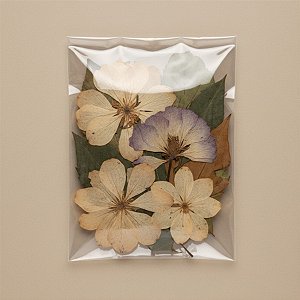 Saco Adesivado sem furo - 8 X 15 cm - Rizzo