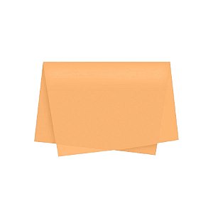 Papel de Seda - 50x70 - Bege Escuro - 10 unidades - Rizzo