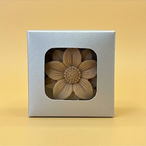 Caixa com Visor VC5 (5cm x 5cm x 4cm) Prata - 20 unidades - Rizzo