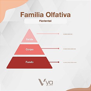 Essência Warm Wood Concentrada Para Ambientes N°205 - 100g - 1 unidade - Vya - Rizzo