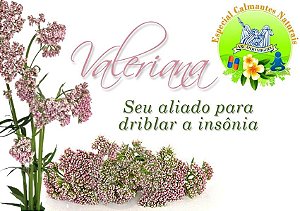 Valeriana em glóbulos 30g sedativo natural contra estresse e insônia